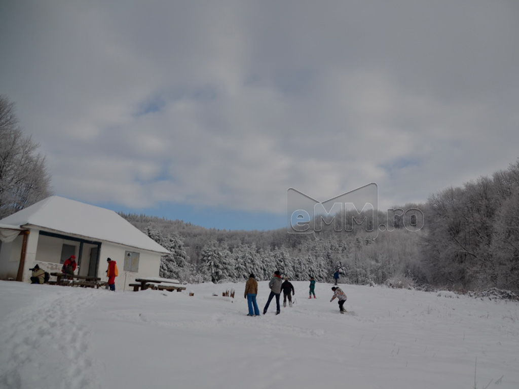 Foto: Dealul Comja - Seini, padurea Eminescu (c) eMaramures.ro - Lucian Petru Goja